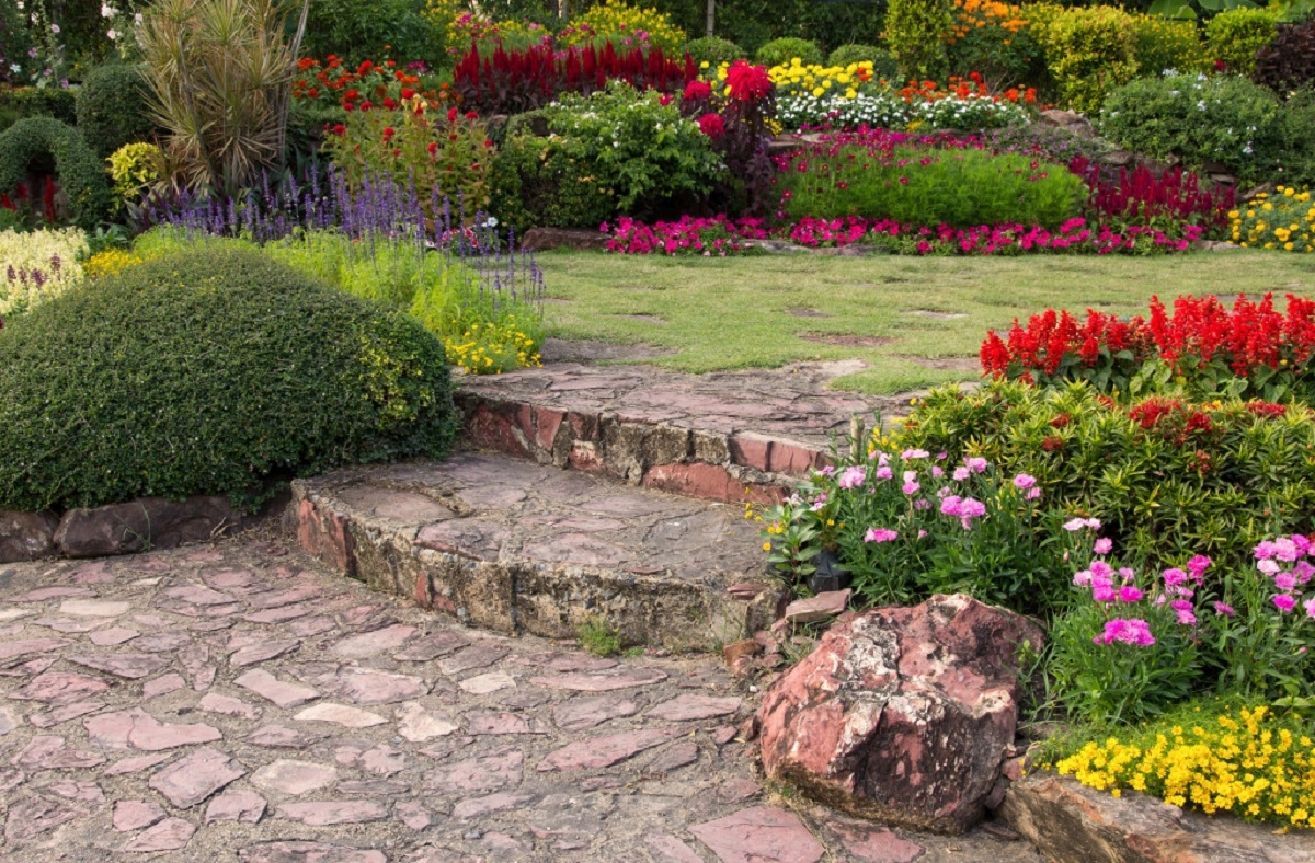 Plantas