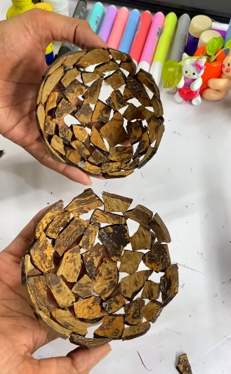 cáscara de coco3