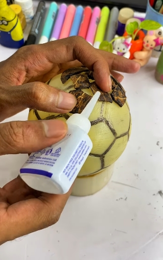 cáscara de coco2