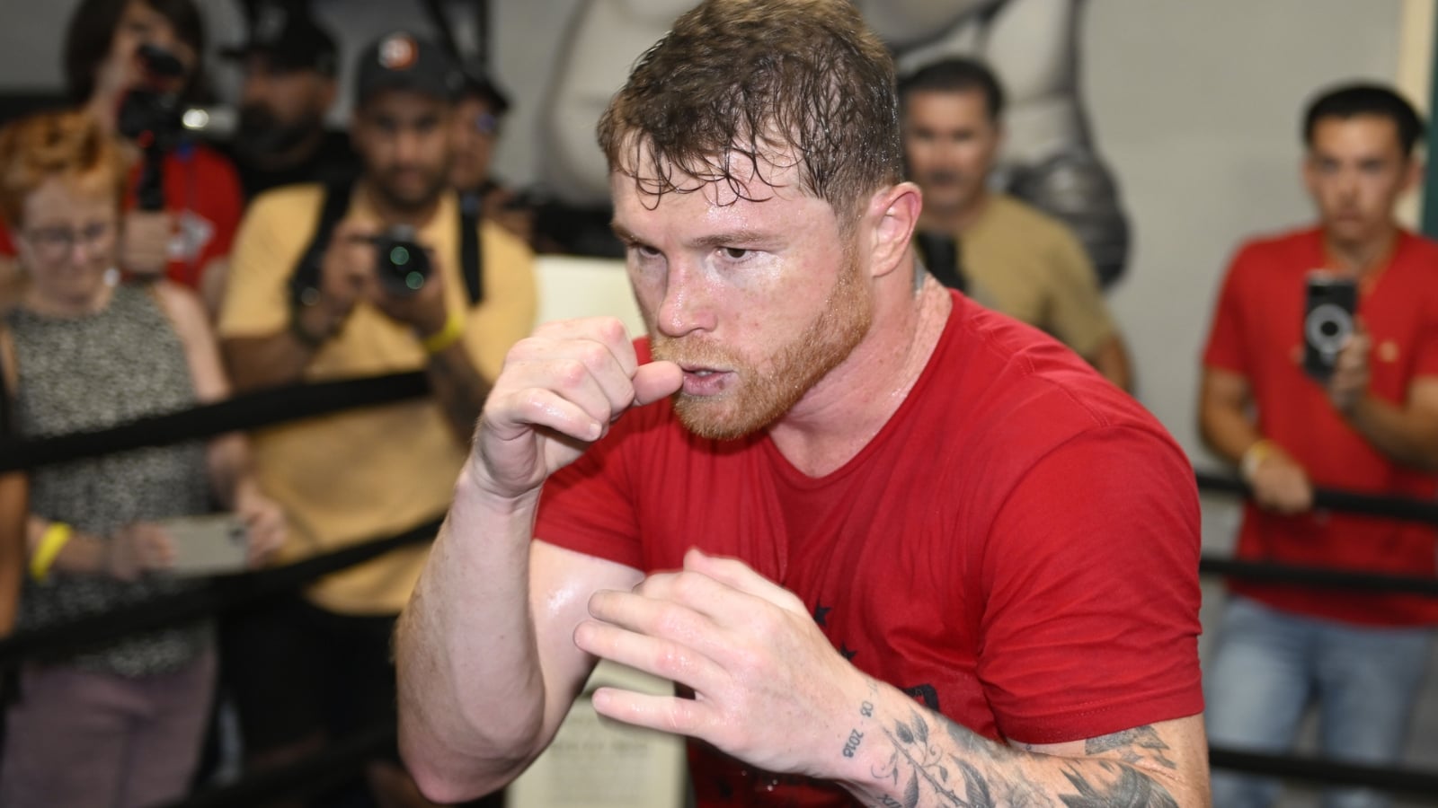 canelo-alvarez_180zwcdracgr81stou0fegqbcm