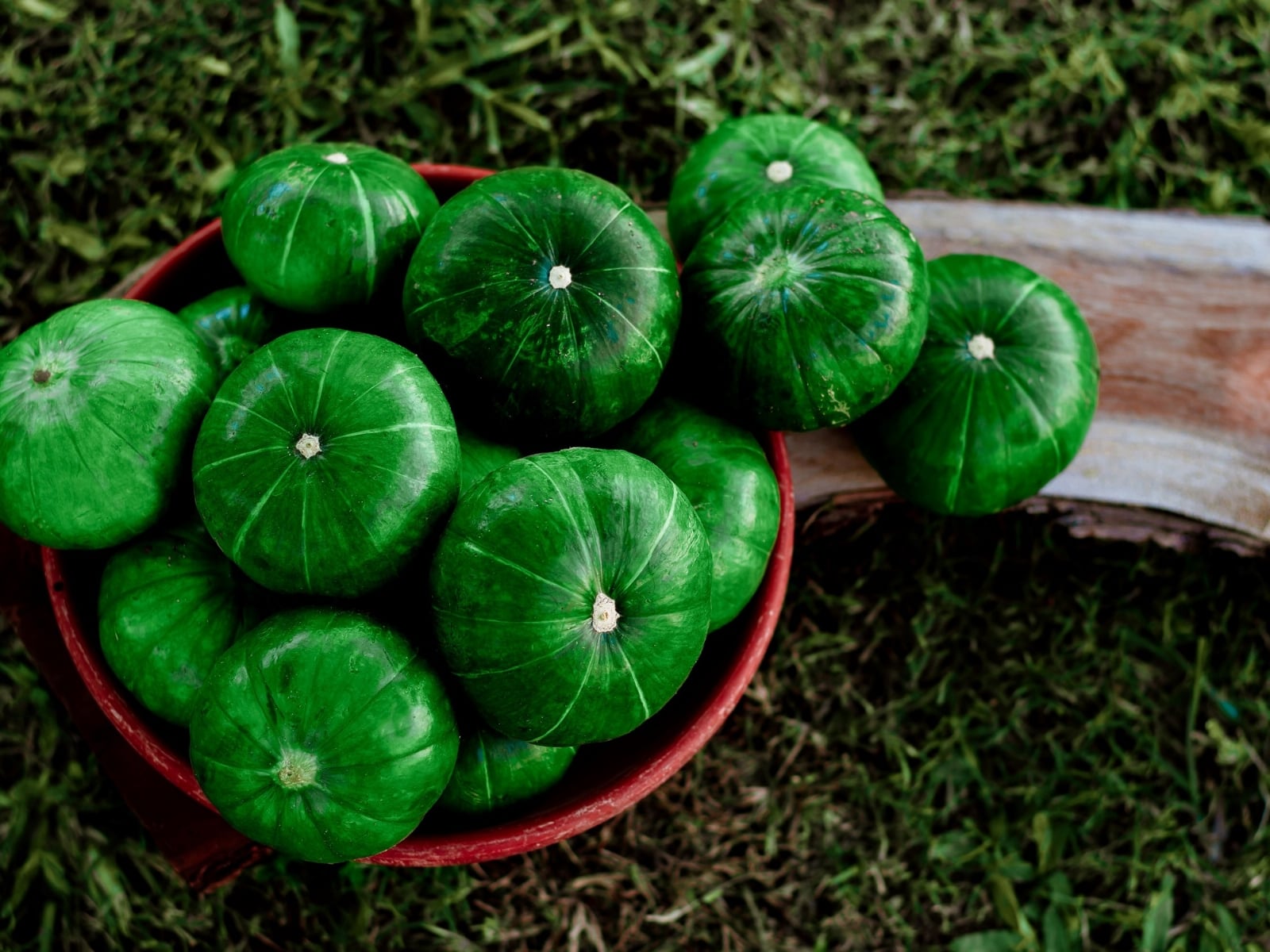 Zapallito verde 2. Fuente (Instagram)