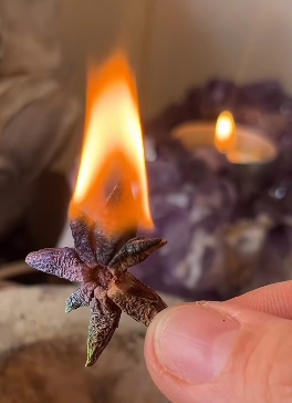 rituales3