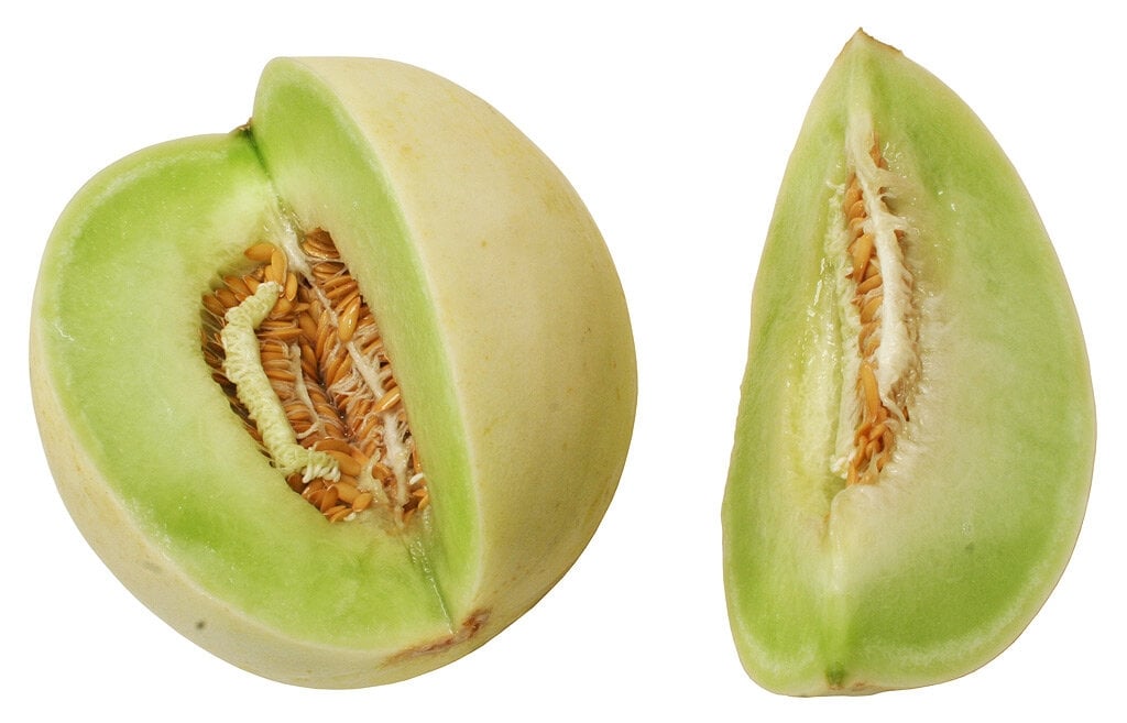 Melon 1 (1)