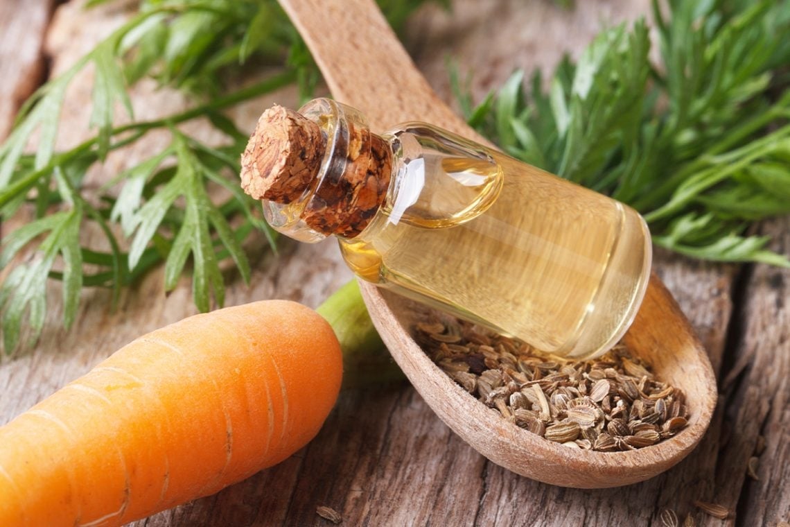 aceite de zanahoria 1