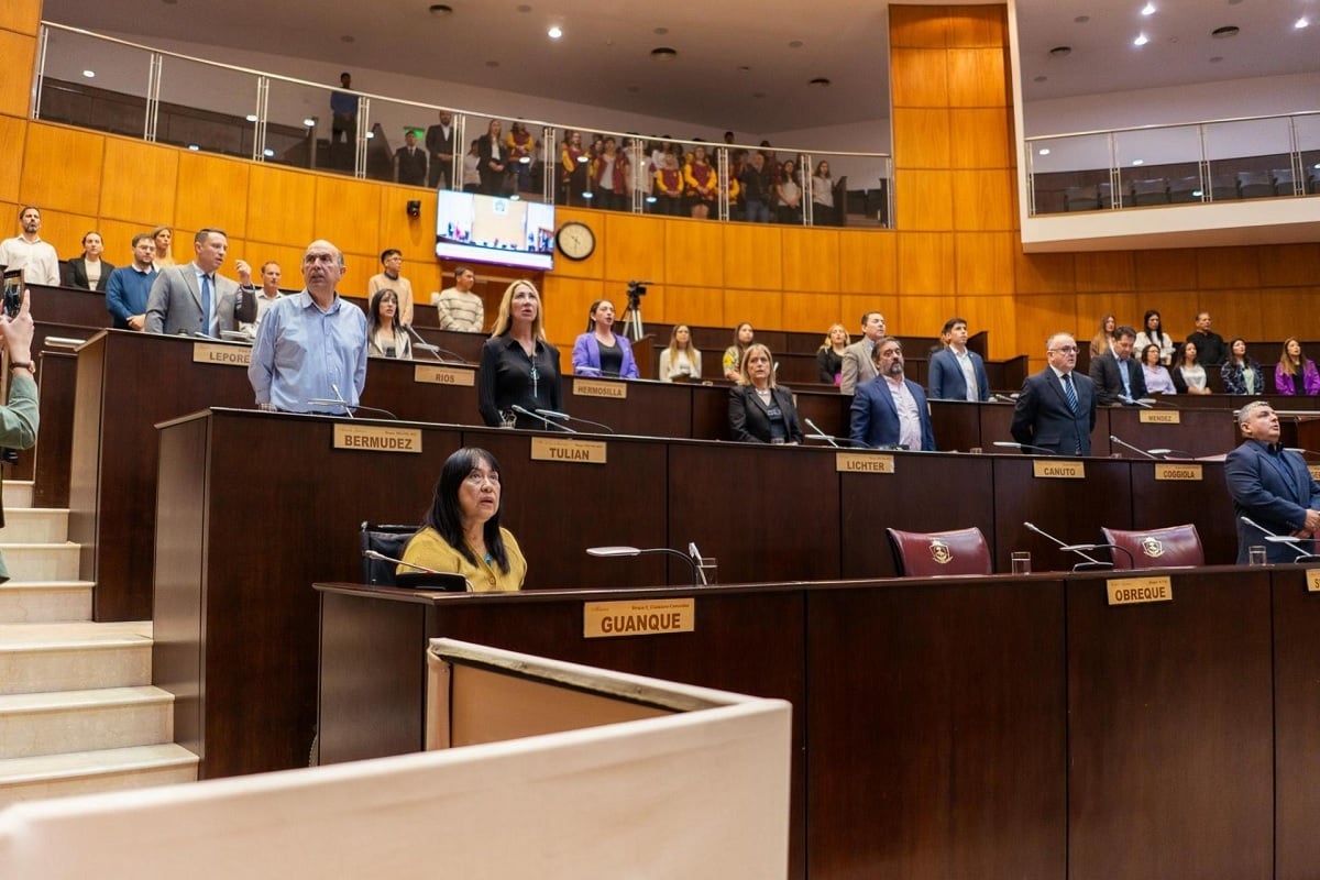 sesion legislatura pistolas taser