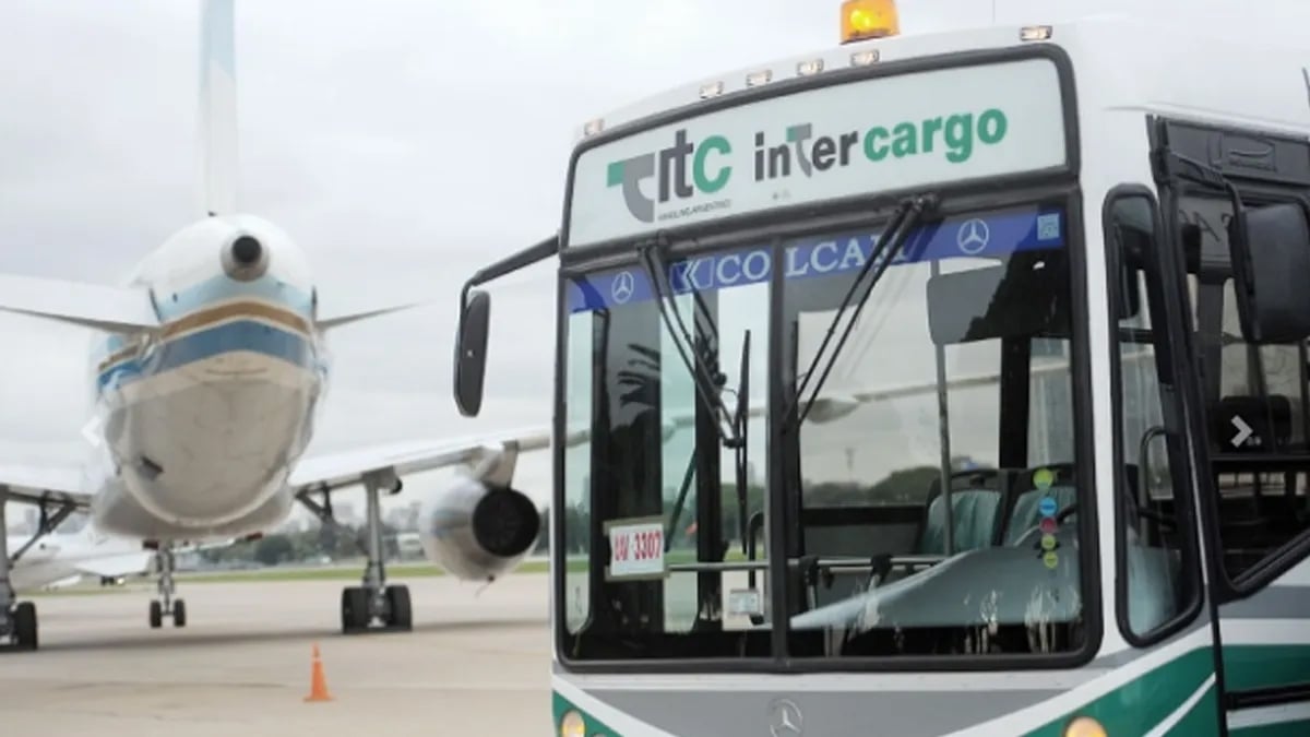 intercargo 2
