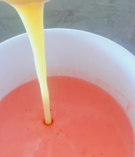 gomitas2