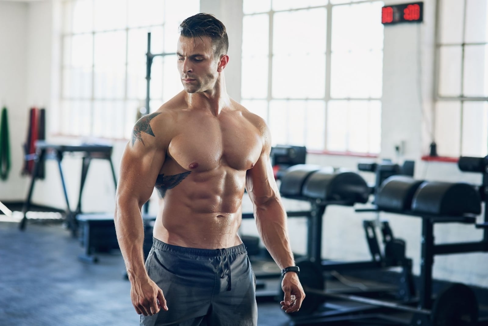 stand-strong-workout-to-become-even-stronger-royalty-free-image-1633510977