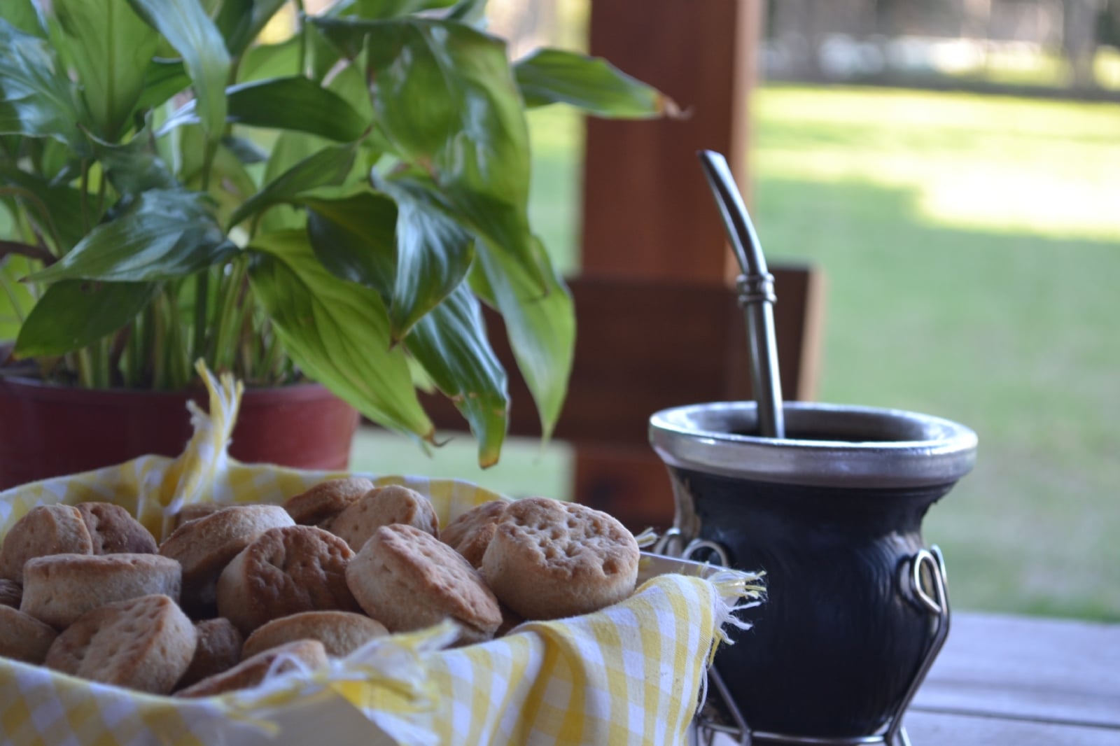 mate-y-galletas-blog-7