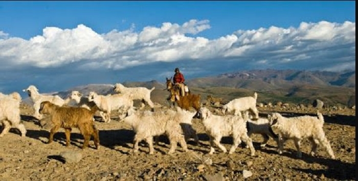 asado turismo neuquén