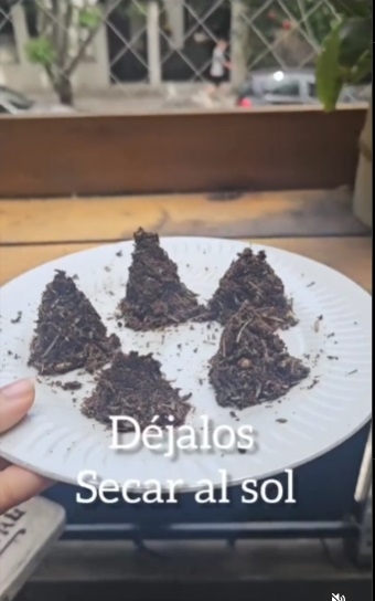 Saquitos de té 5