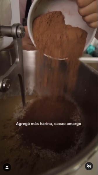 Panettone de chocolate 4