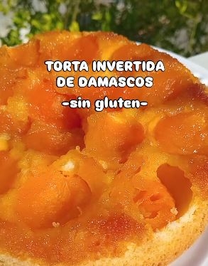 TORTA4333