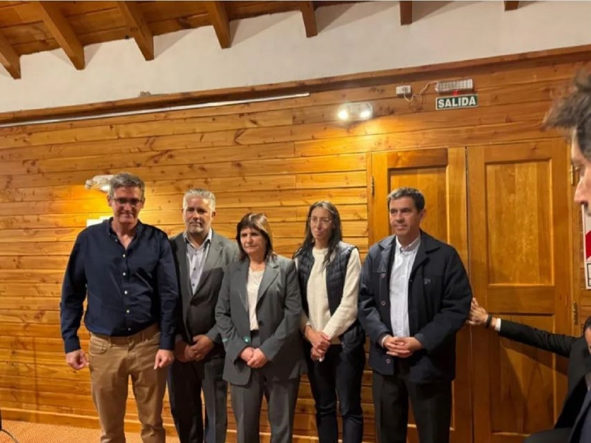 bullrich diario andino