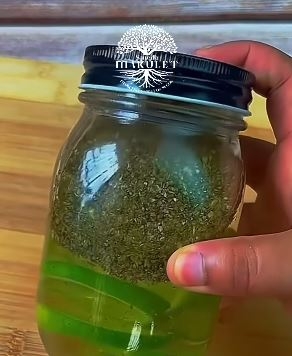 oregano988