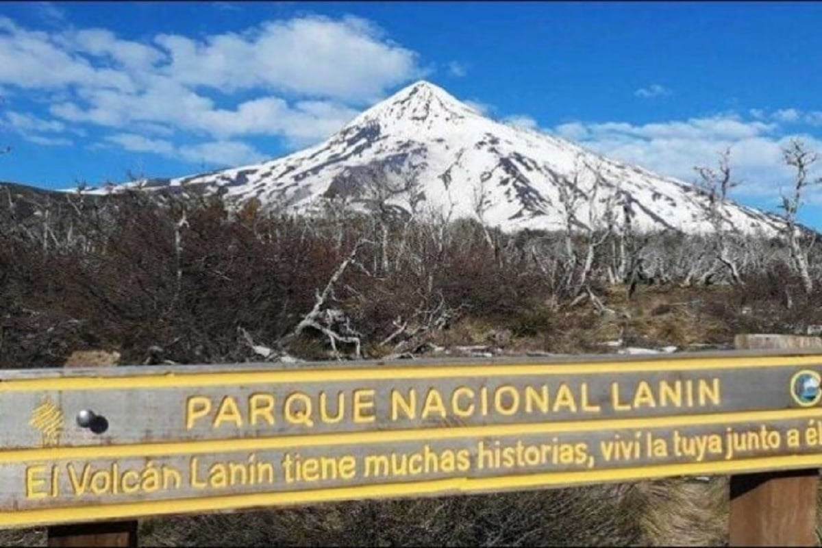 parque nacional lanin