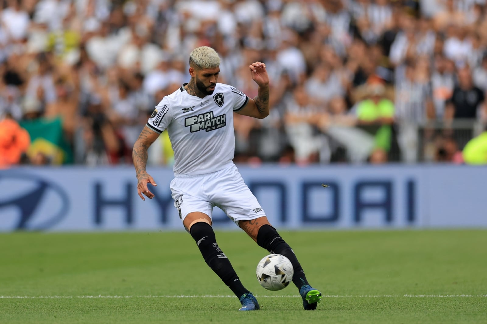 atletico-mineiro-v-botafogo-final-copa-conmebol-libertadores-2024 (4)
