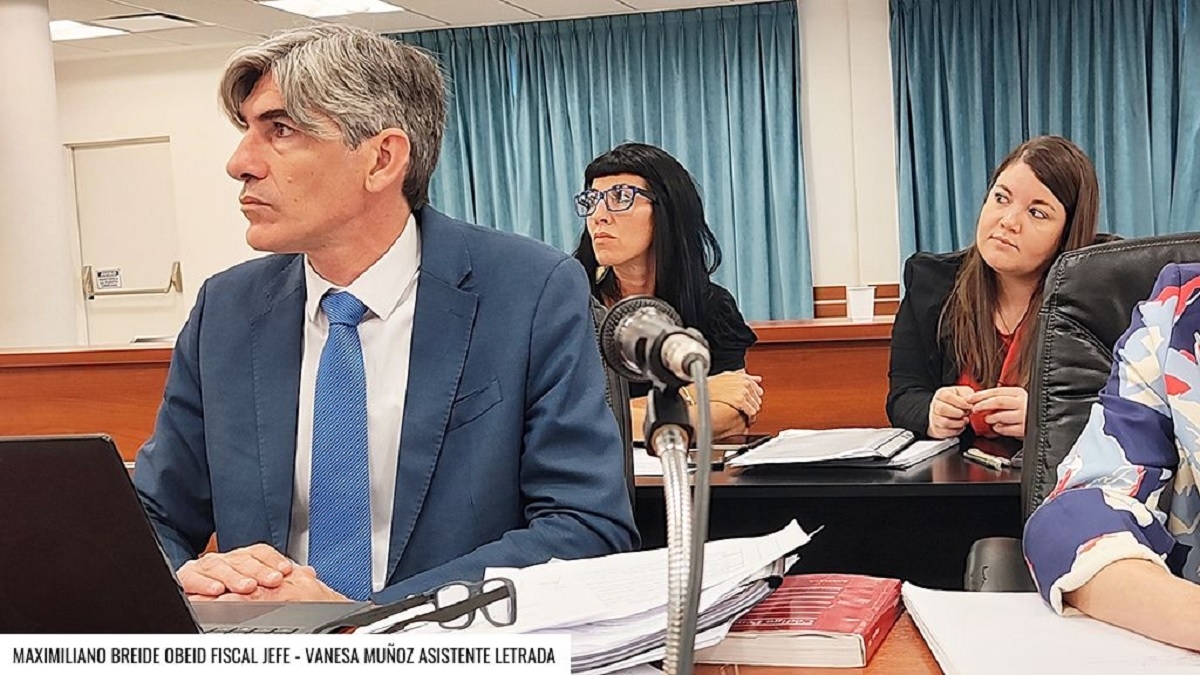 breide juicio jardin 31