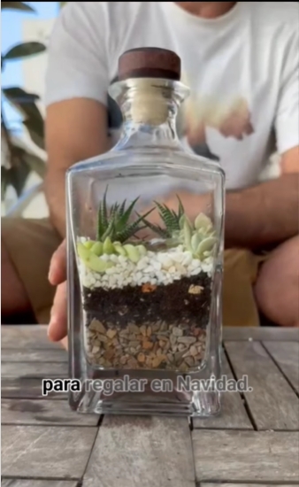 botellas 7