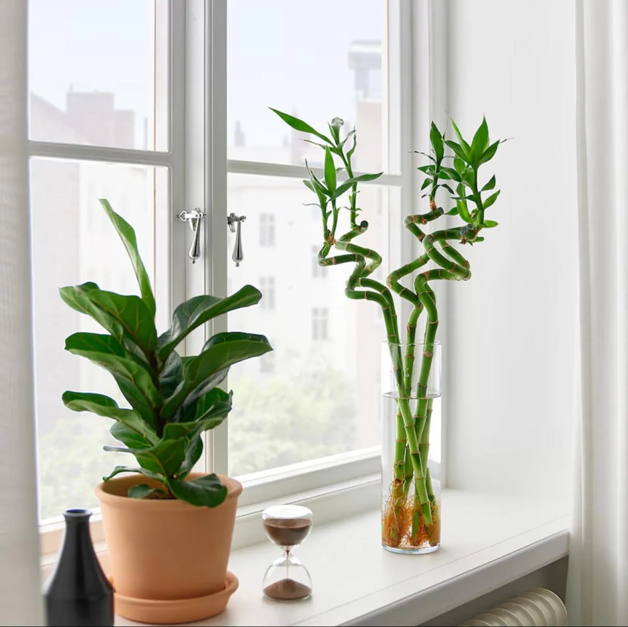 AnyConv.com__bambu-suerte-cuidados-ikea-kdxH-U2201021908430noC-1248x1248@MujerHoy