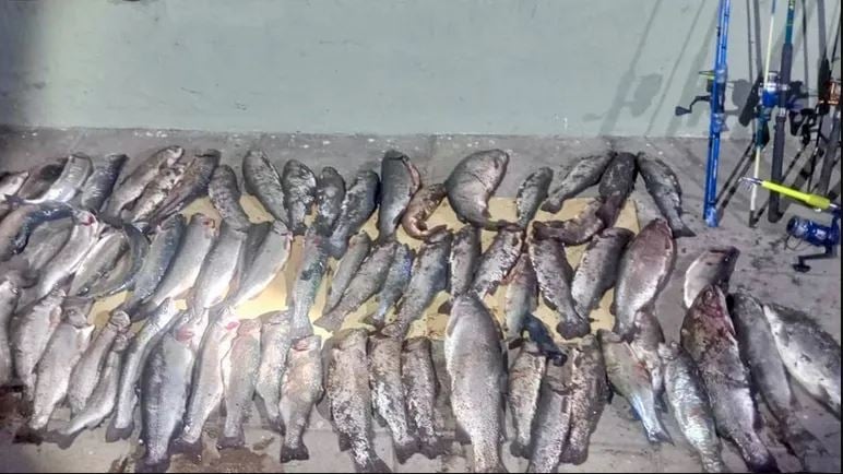 pescadores face