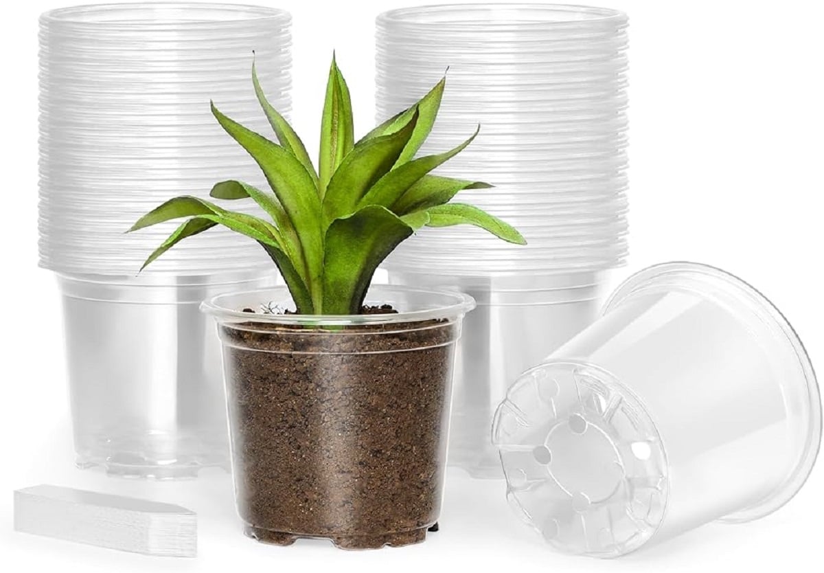 Plantas
