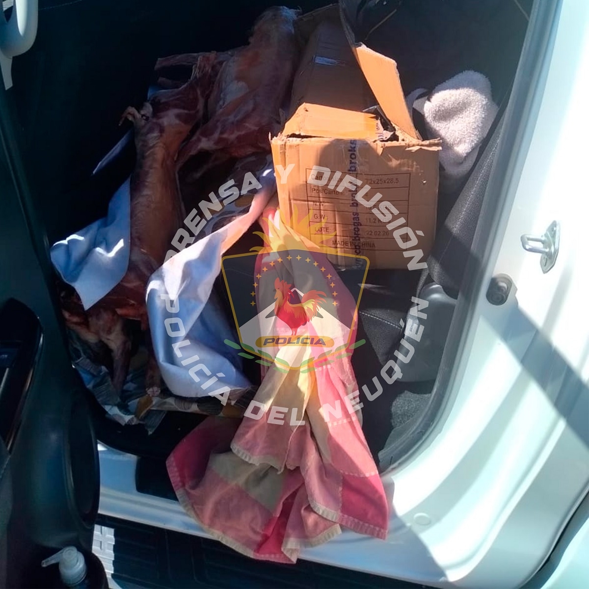 secuestro de chivos 2