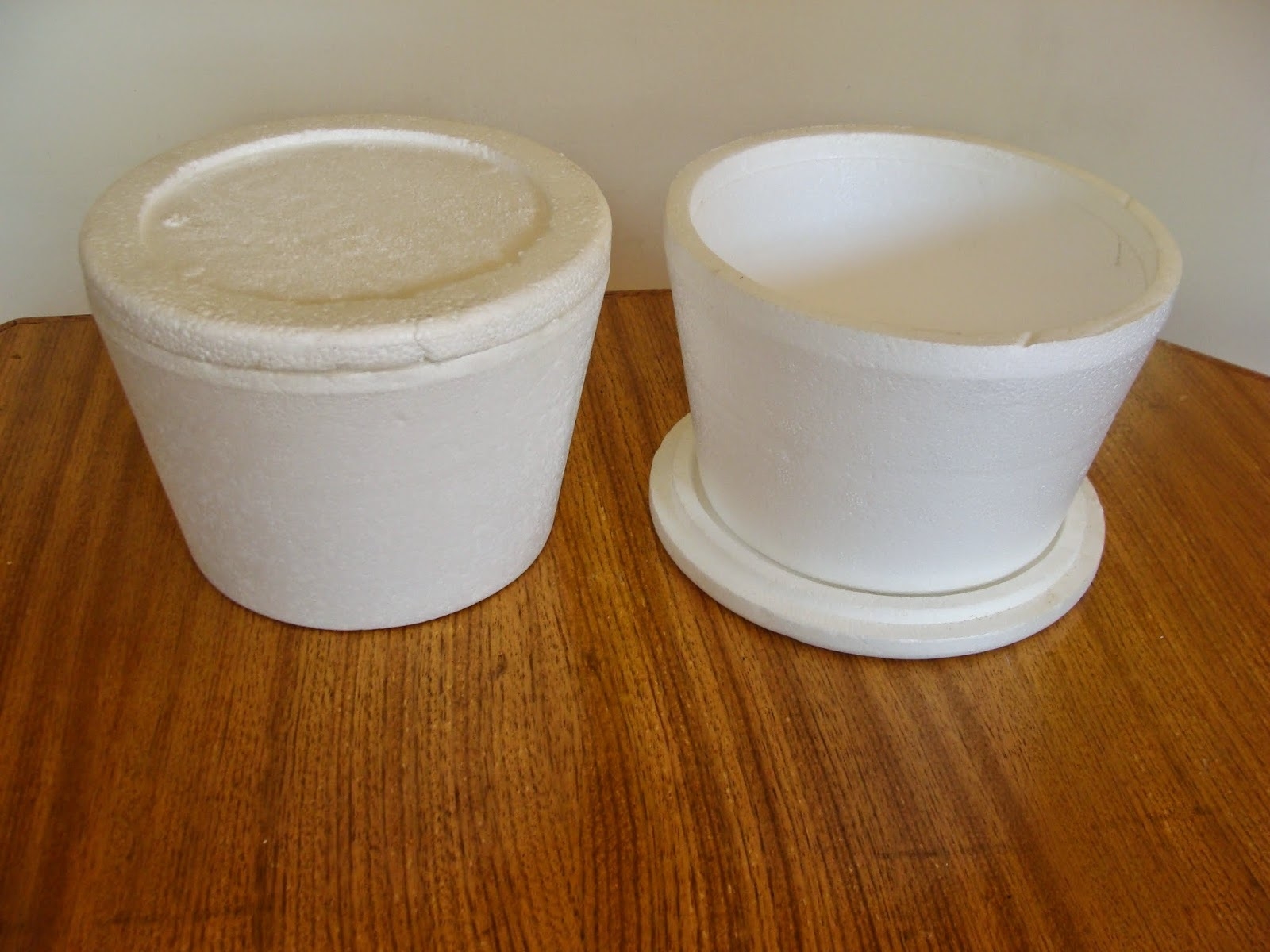 Envases de telgopor 0