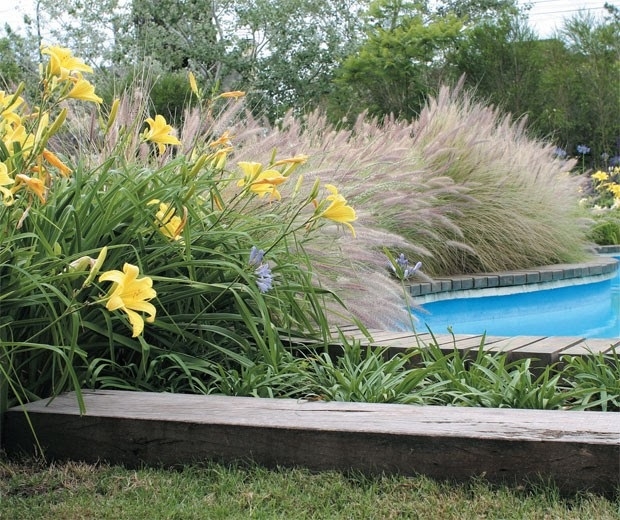 Plantas 3