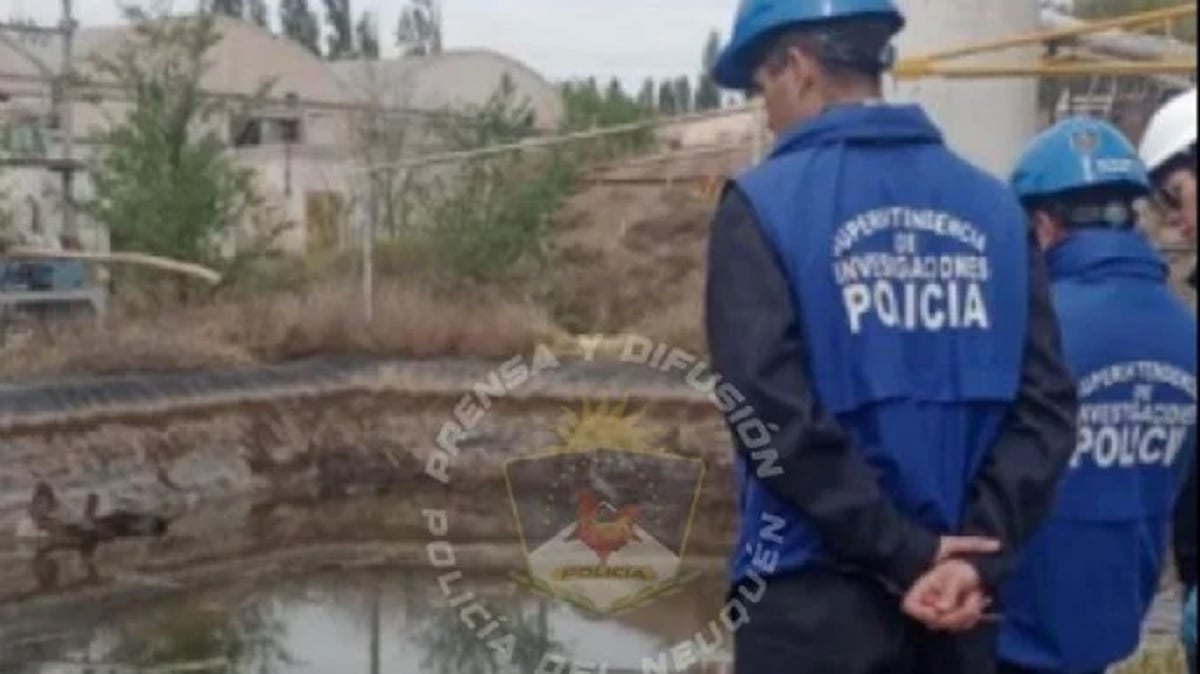 contaminacion centenario