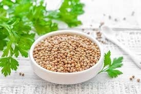semillas de cilantro (1)