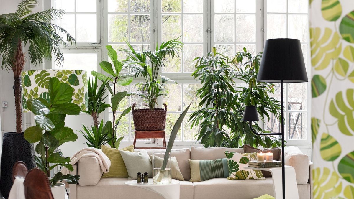 living-room-with-potted-plants-royalty-free-image-1642489246