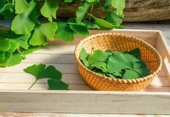ginktw22