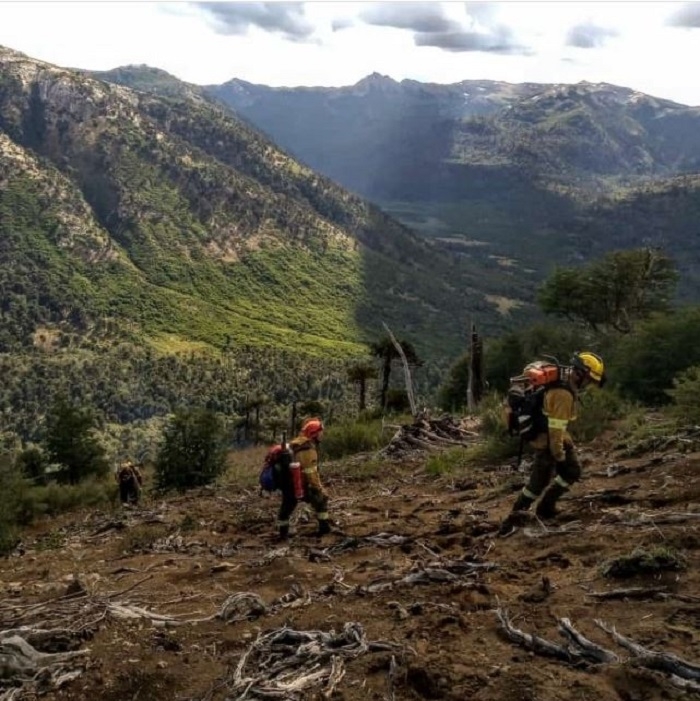 informe incendios face
