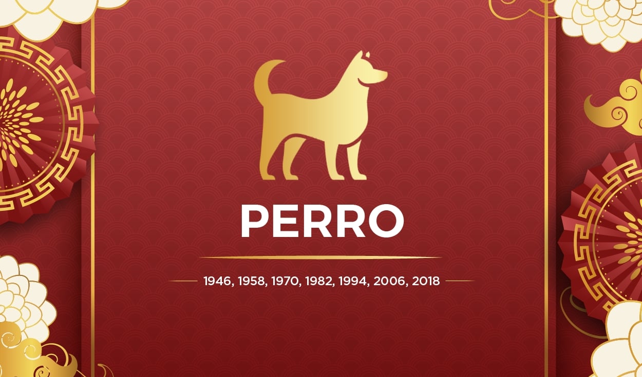 perro001