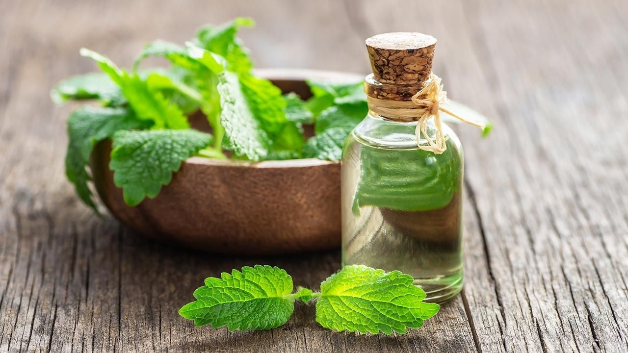 melisa-la-planta-medicinal-que-te-ayuda-a-relajarte--1280x720x80xX