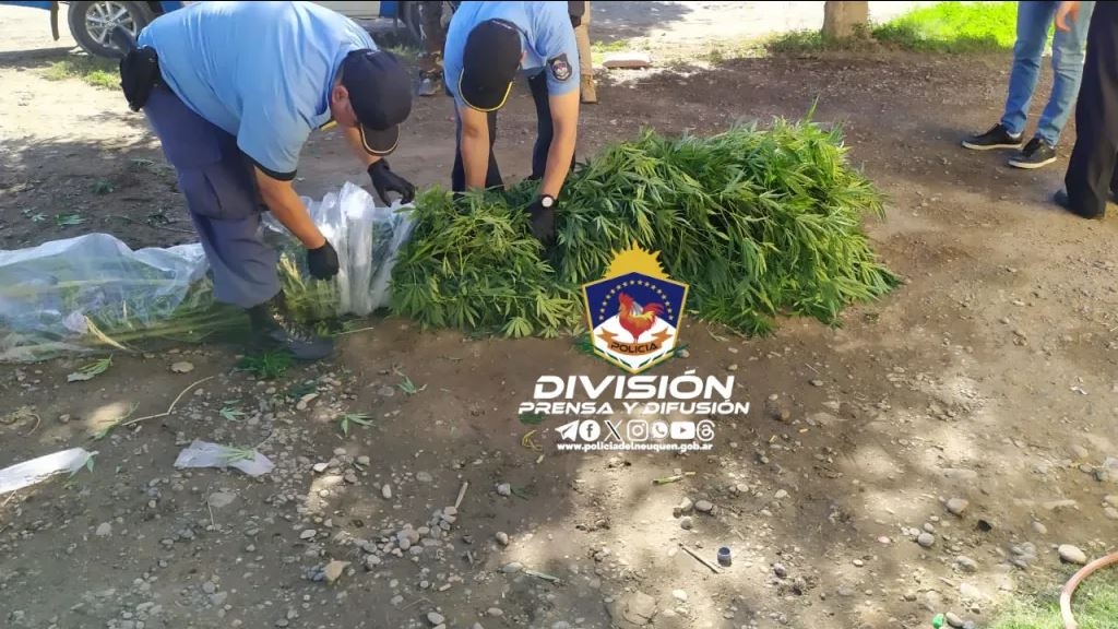 allanamiento policia nqn3