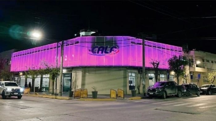 magenta calf