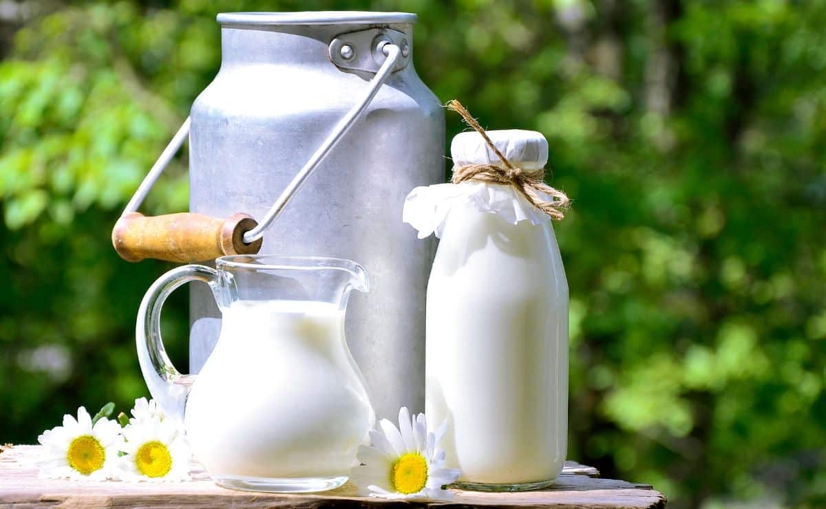 vidrio-mejor-envase-leche