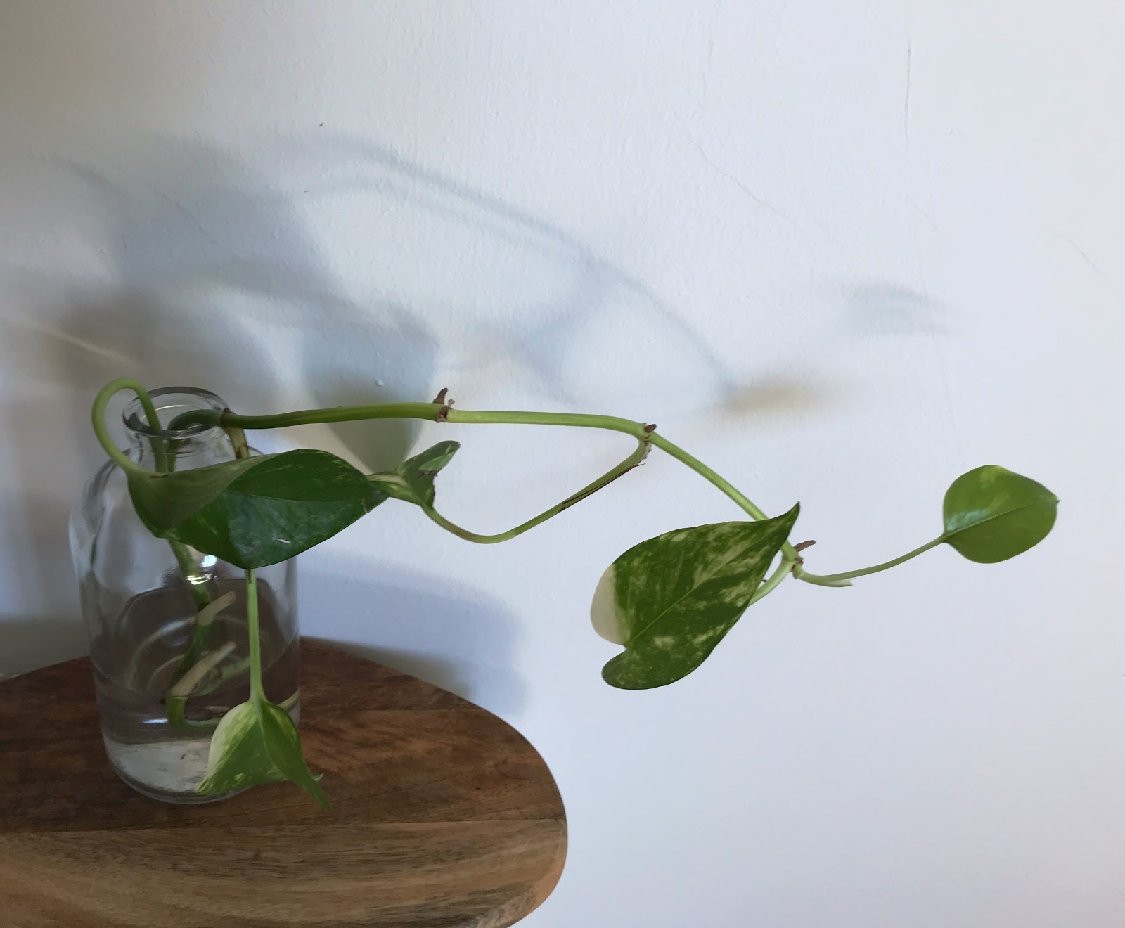 image1 - 2019-04-12T174901.204