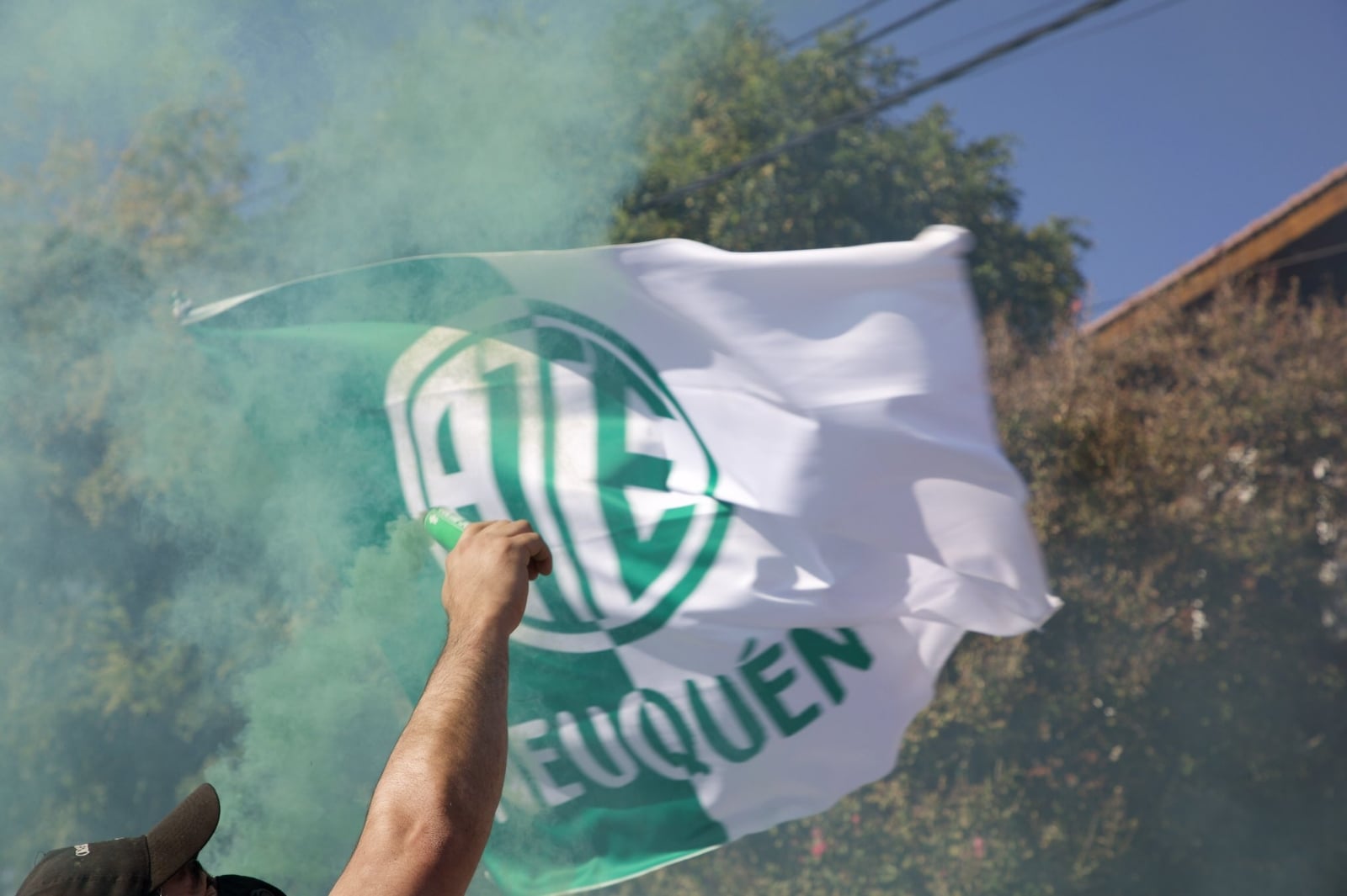 ate verde y blanca