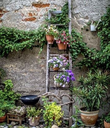 escalera888