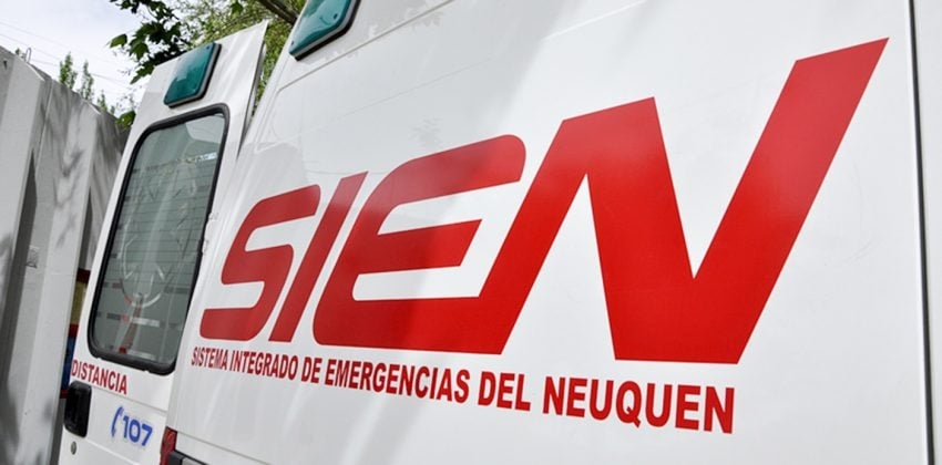 viboras - nqn informa 3