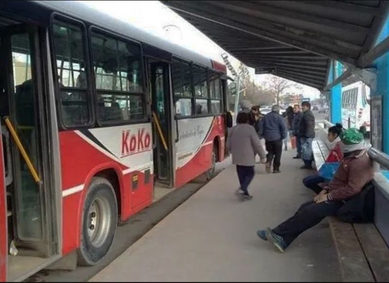 transporte nova neuquén