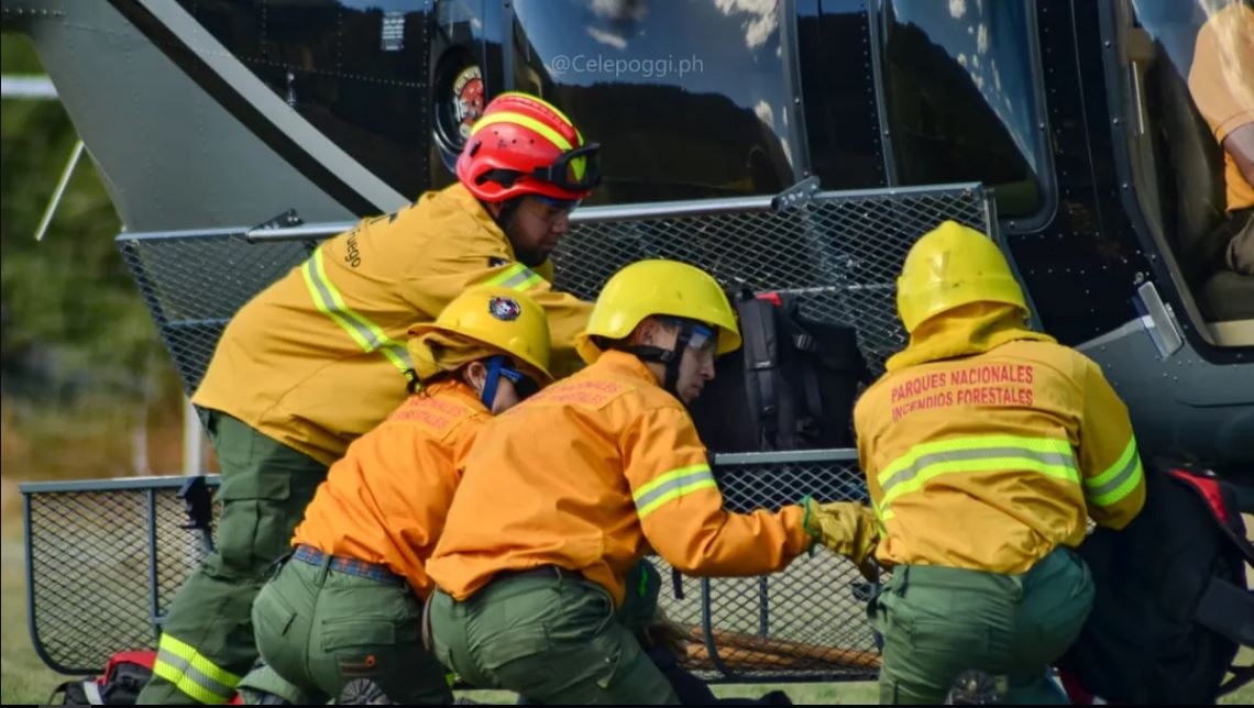 brigadistas diario 7 lagos