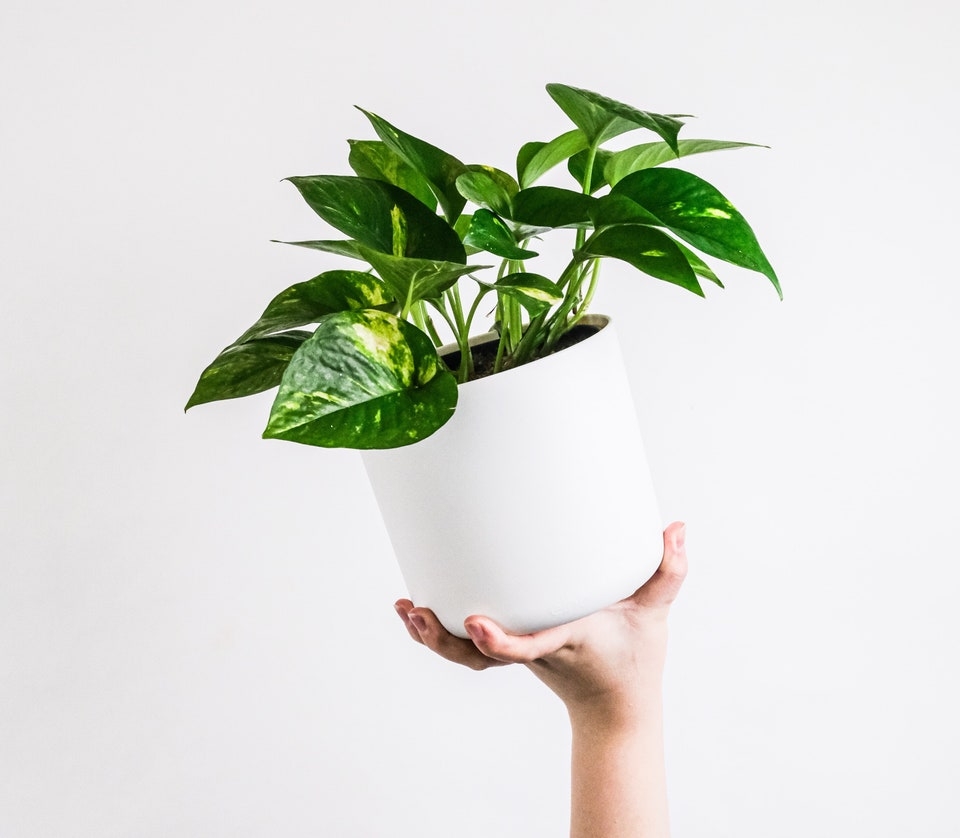 feey-GG9Gh1_FjbM-unsplash