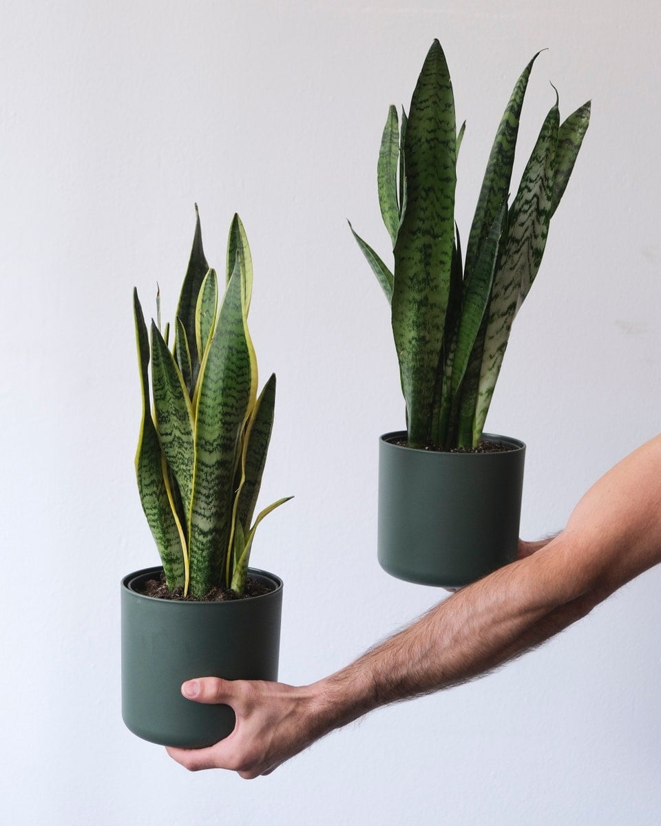 feey-YqdZtnYm9QM-unsplash