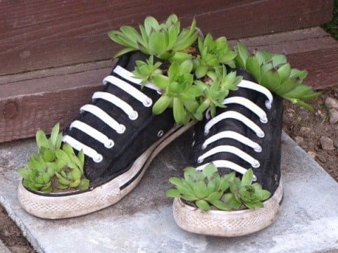 zapatos-convertidos-en-macetas-04-480x360