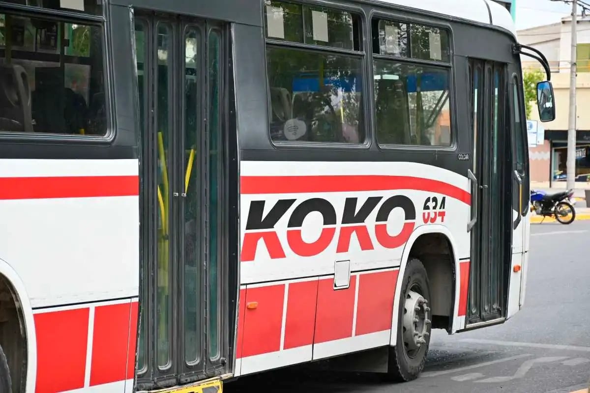 neuquen-Transporte-publico-koko-salto-5