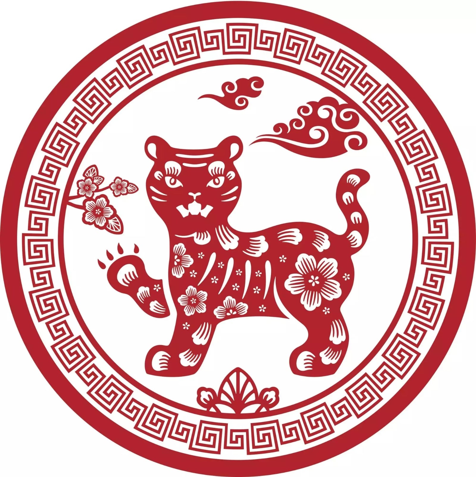 tigre5